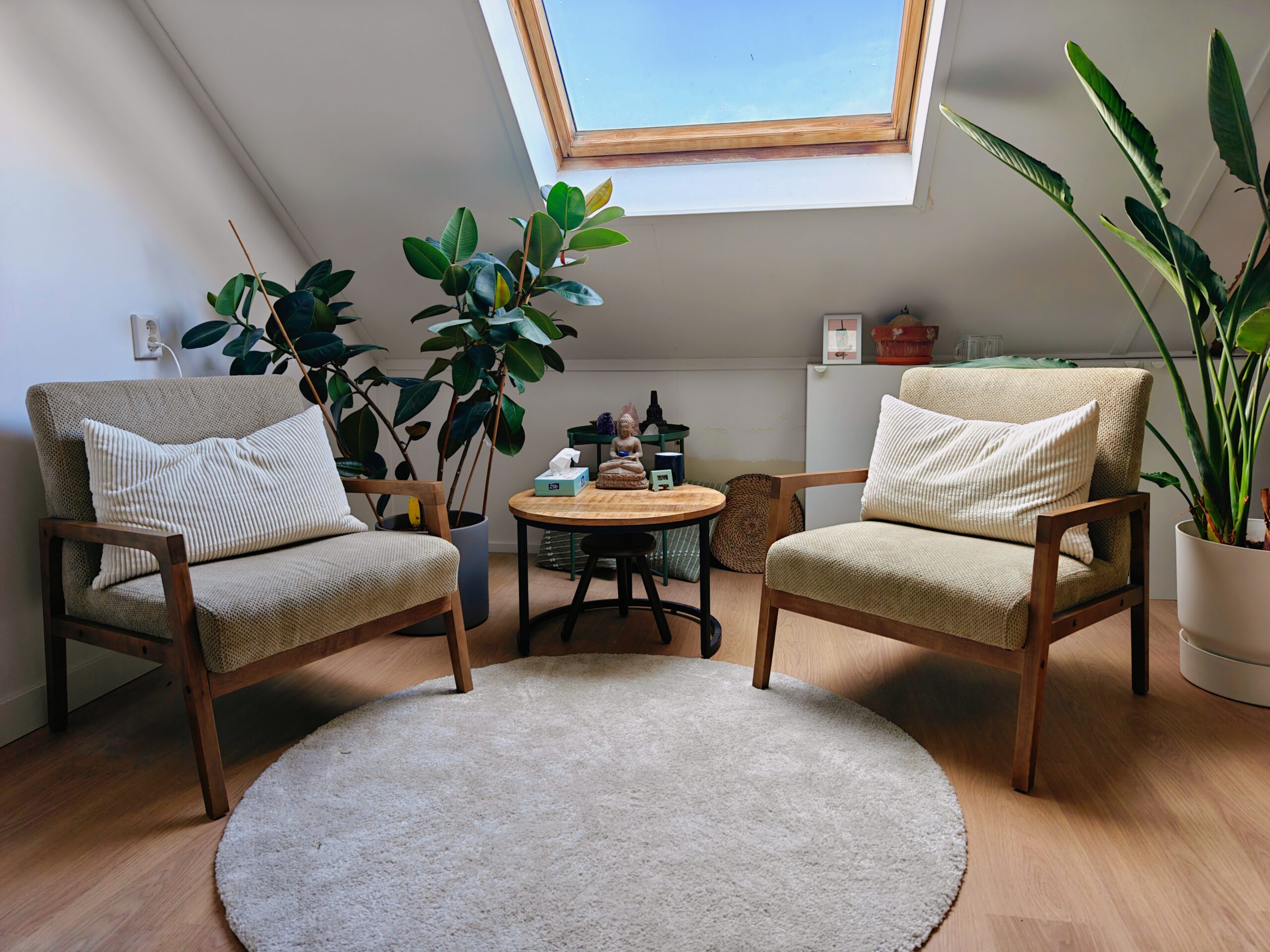 holistisch NLP coach Zoetermeer Den Haag