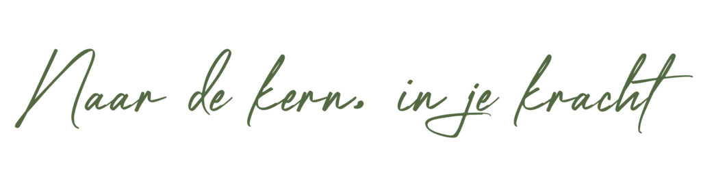 Holistisch coach coaching nlp systemisch werk Reiki adem lichaamswerk mannencirkel mannenwerk Zoetermeer Den Haag Delft Leiden Gouda